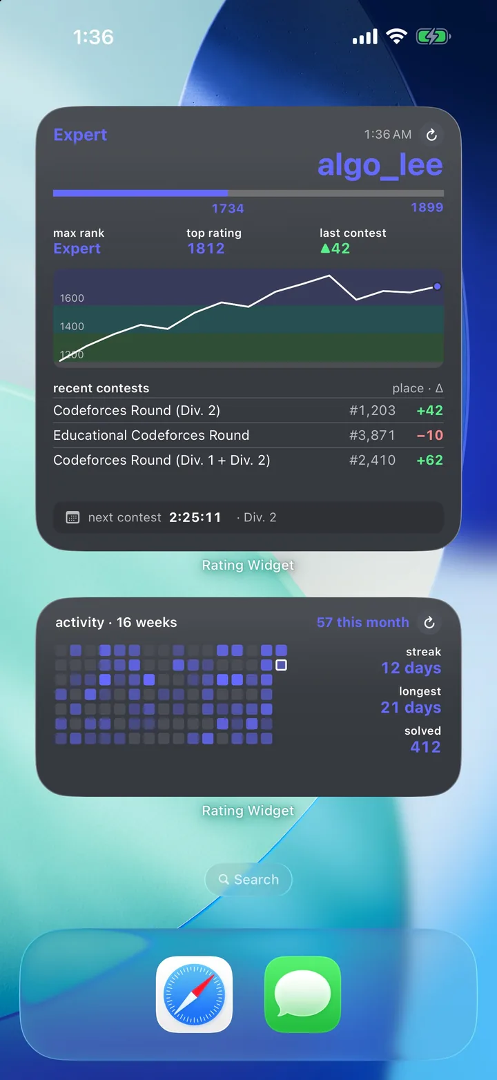 The large rating widget (rank bar, rating chart, recent contests, next contest countdown) and the 16-week activity widget on a Home Screen